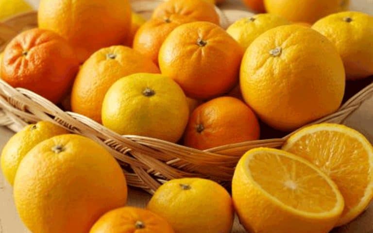 храни ерекция